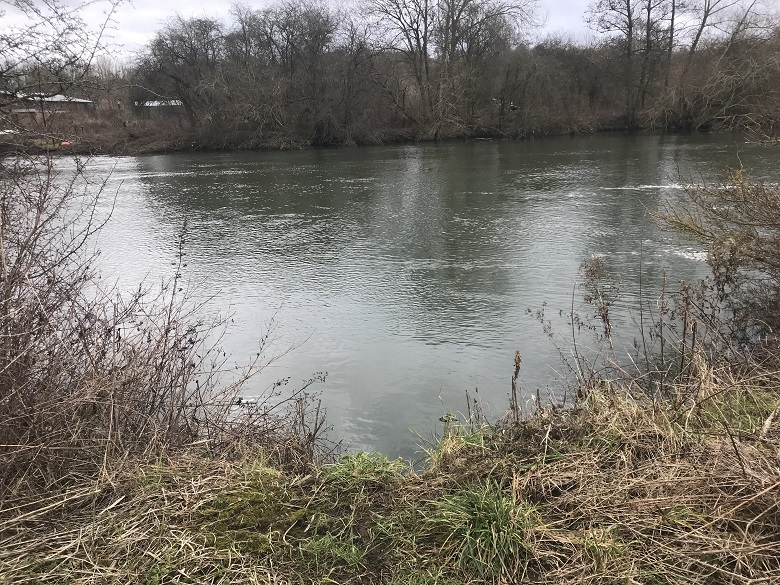 BANK SWIM VIEW